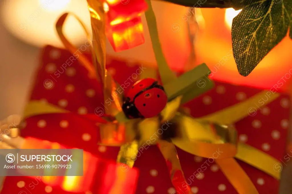 Christmas present decorated with ladybug