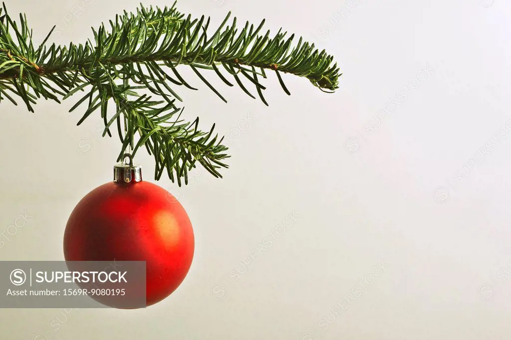 Red Christmas bauble hanging from Christmas tree