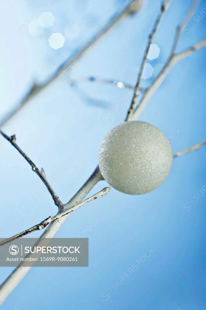 Ball_shaped ornament