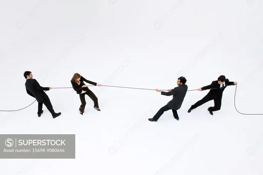 Business professionals playing tug_of_war