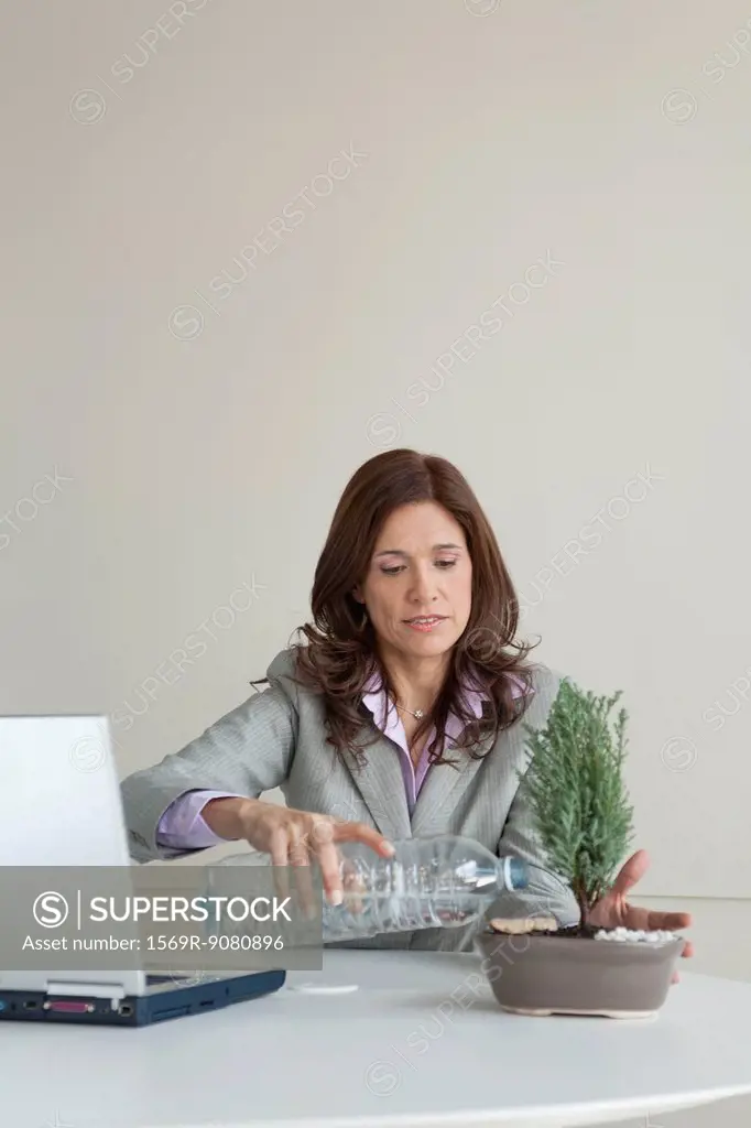 Mature businesswoman watering bonsai tree at work desk