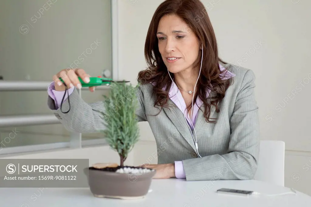 Mature businesswoman pruning bonsai tree