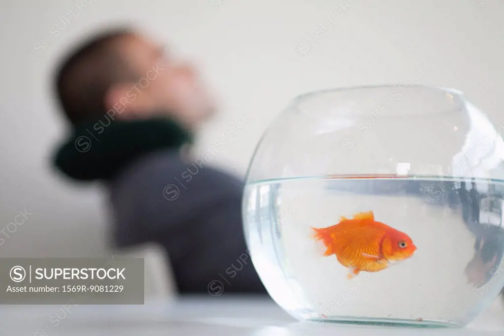 Goldfish in fishbowl, businessman resting in background