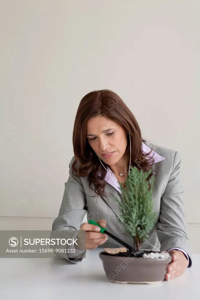 Mature businesswoman raking soil in bonsai pot