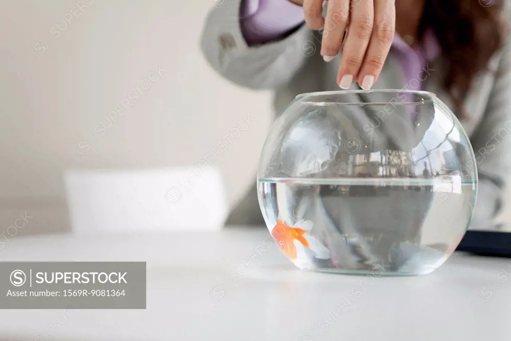 Woman feeding goldfish, mid section