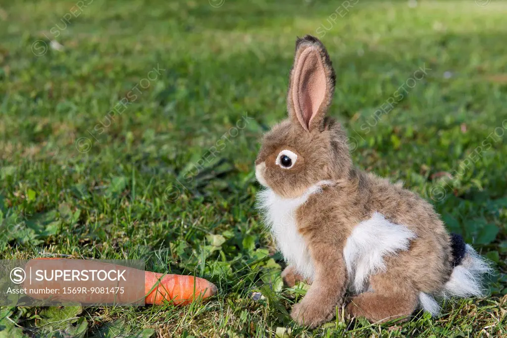 Stuffed rabbit sitting on grass with carrot