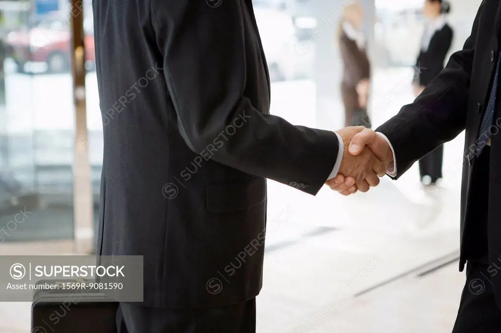Businessmen shaking hands, cropped