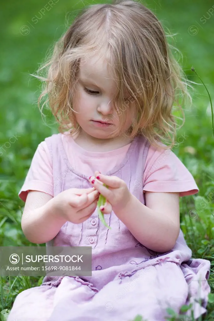 Little girl sitting in grass, playing with blade of grass