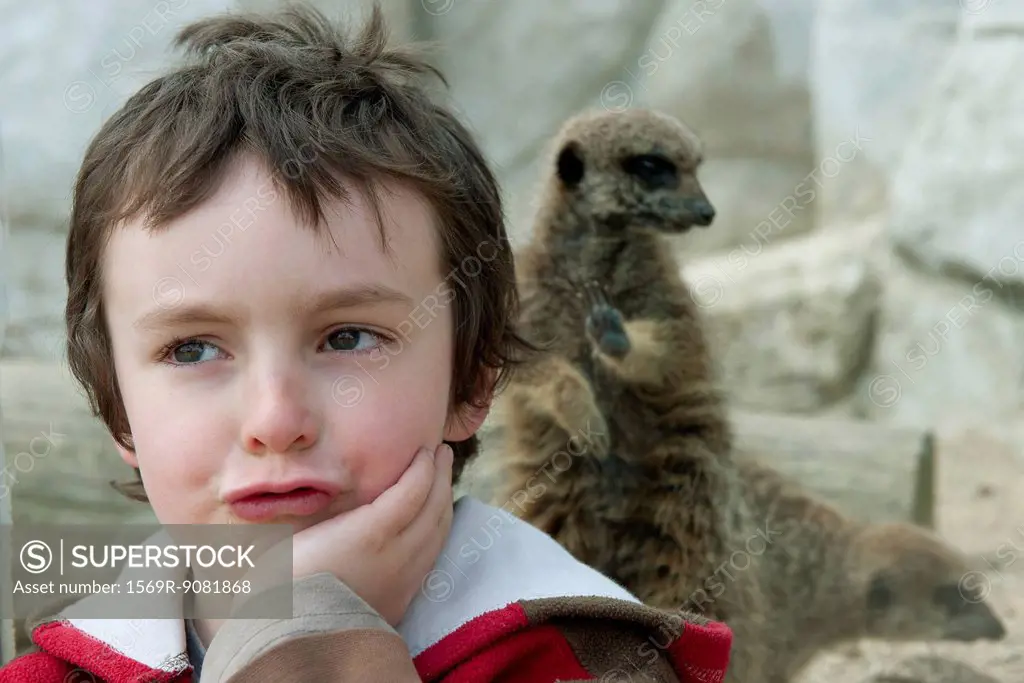 Boy in front of meerkat exhibit at the zoo