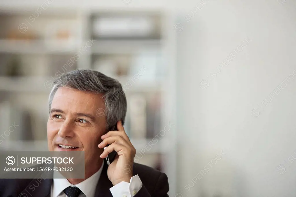 Mature businessman talking on cell phone