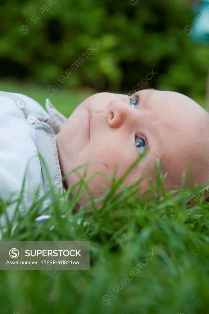 Baby boy lying in grass, looking up