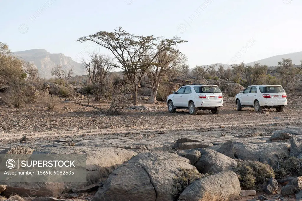 SUVs parked in desert terrain