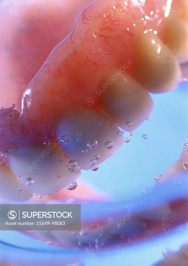 Dentures in water, close-up