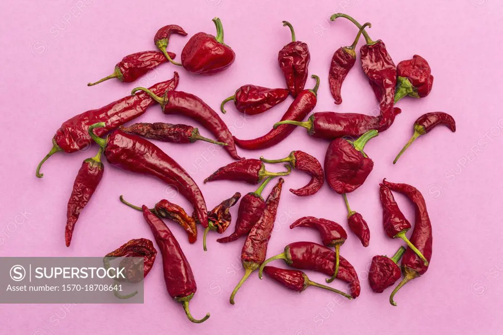 Red chili peppers on bright pink background