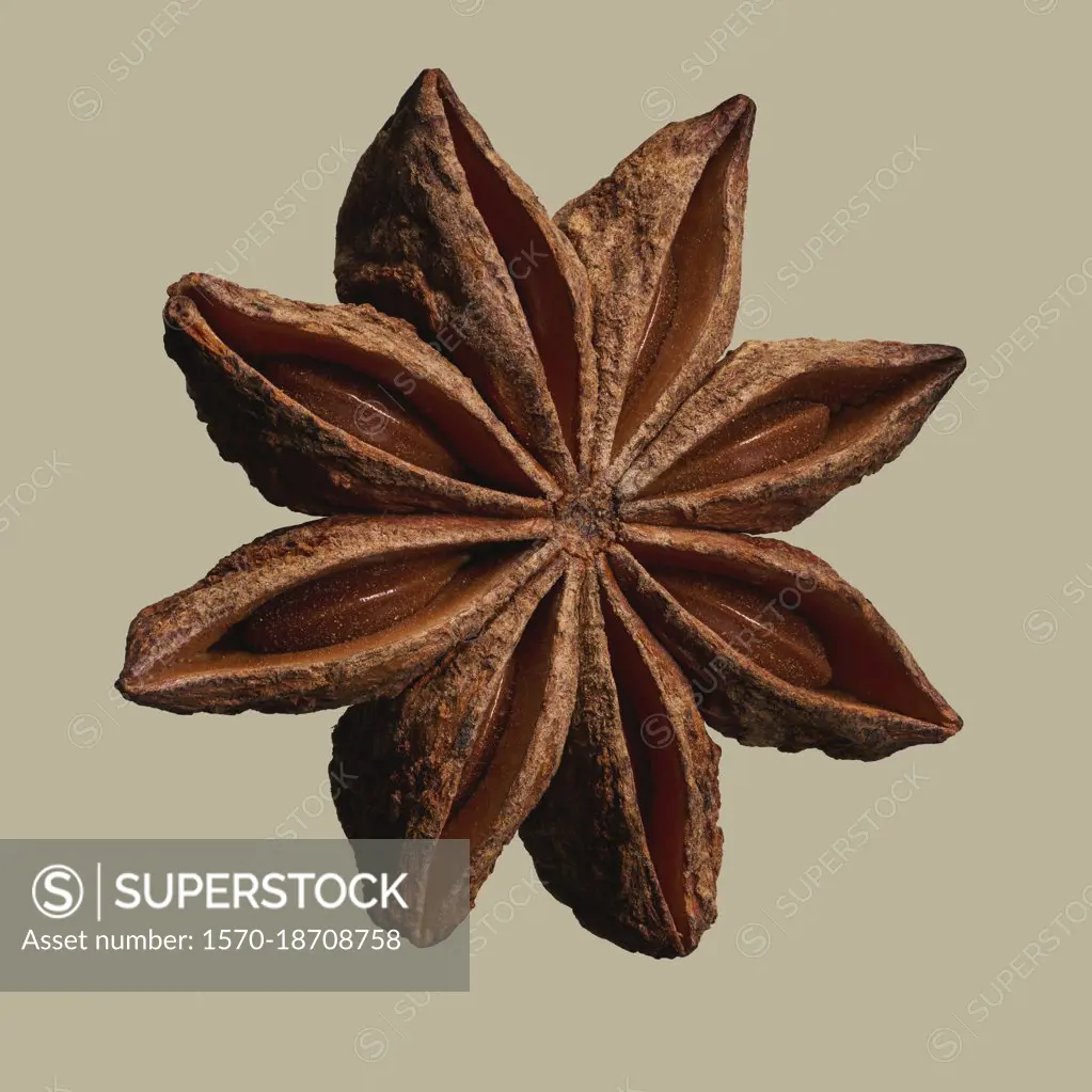 Close up brown star anise