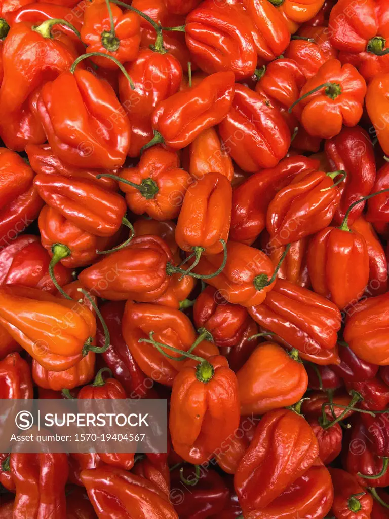 Full frame vibrant red habanero peppers