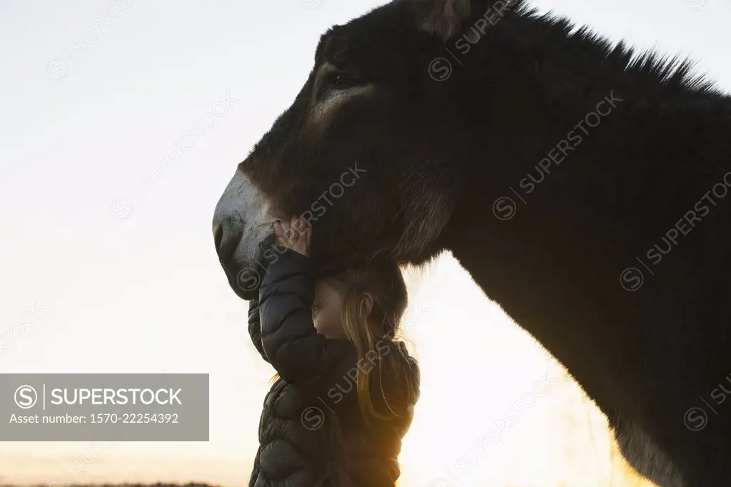 Girl standing underneath donkey