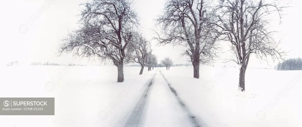 Country road in winter, Bavaria, Germany