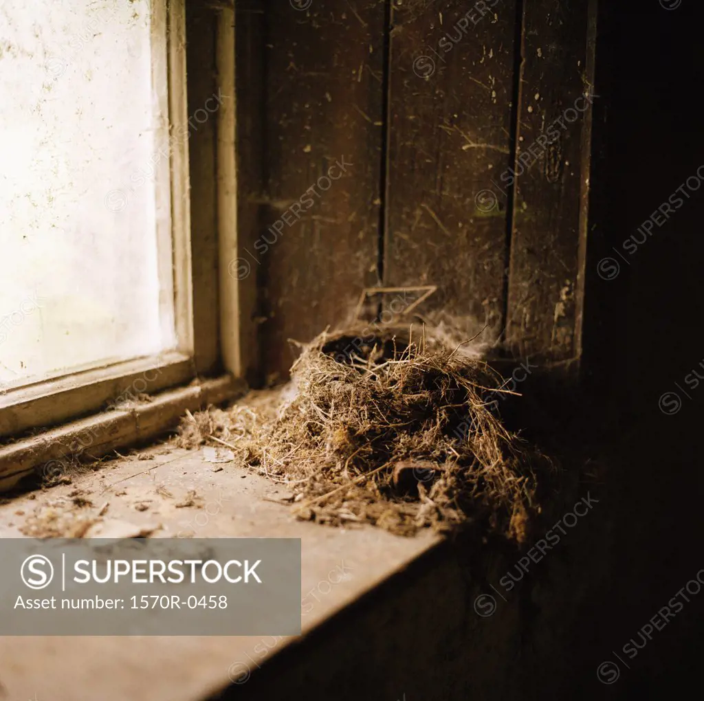 A bird's nest on a windowsill
