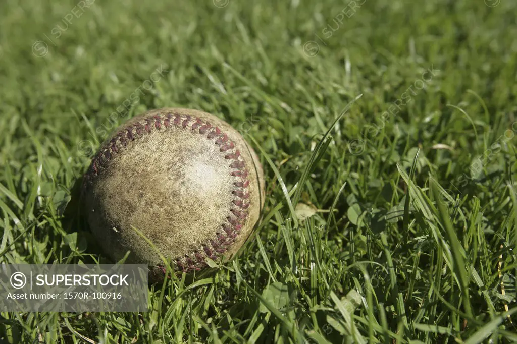 A baseball in the grass