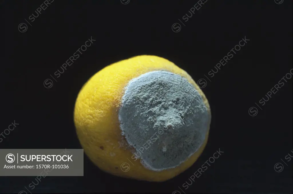 Rotten lemon