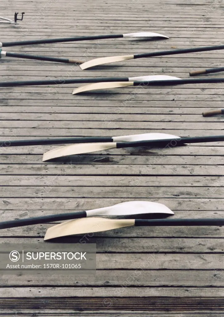 A row of oars on a dock
