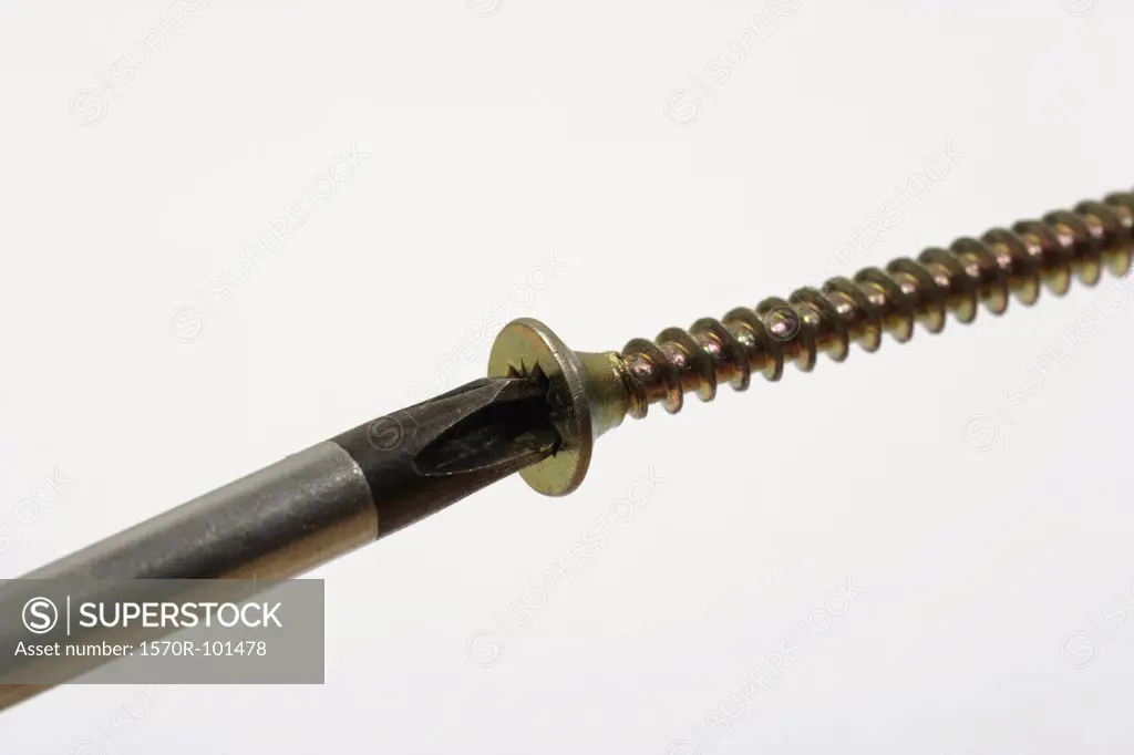 A screw and screw driver against a white background