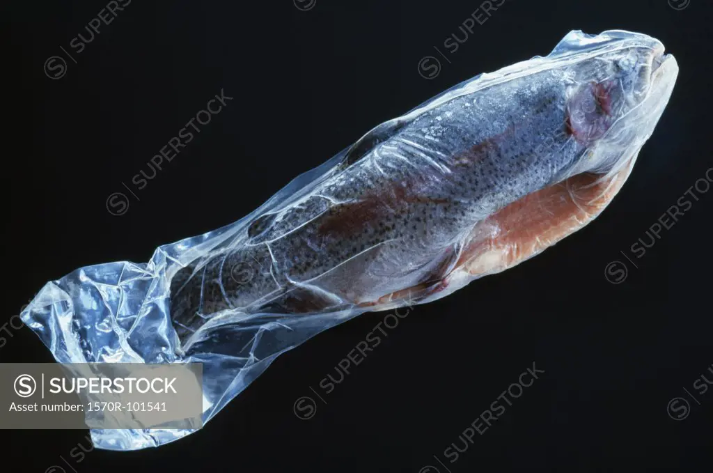 Close up of a fish packed in plastic