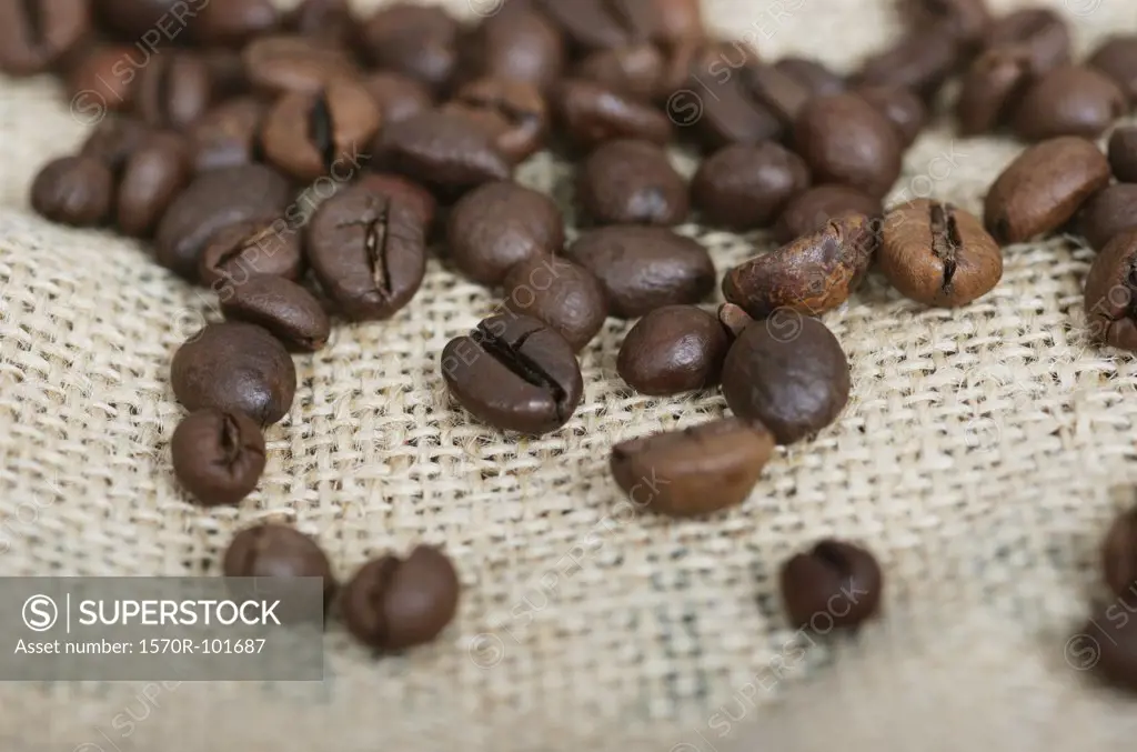 Group of coffee beans