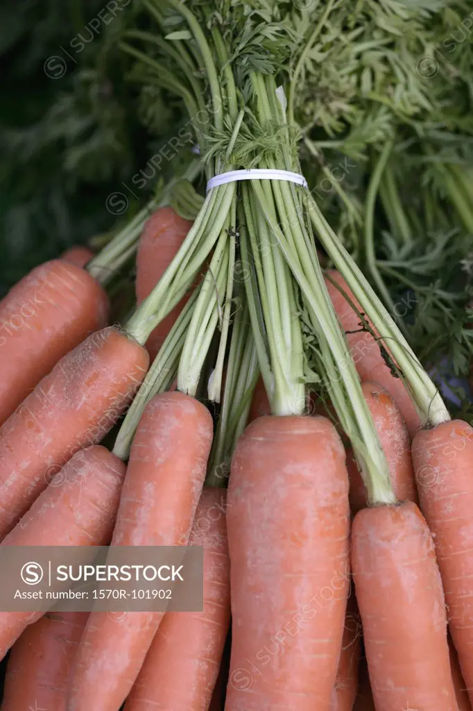 Top view of small group of carrots