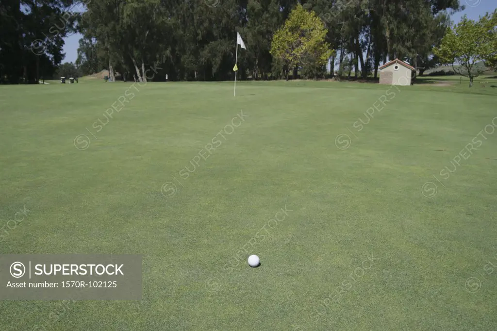 A golf ball on a putting green