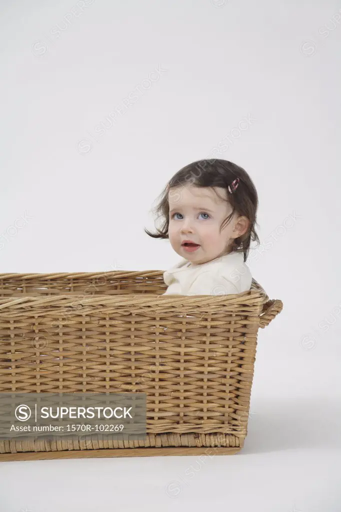 A sitting in a basket