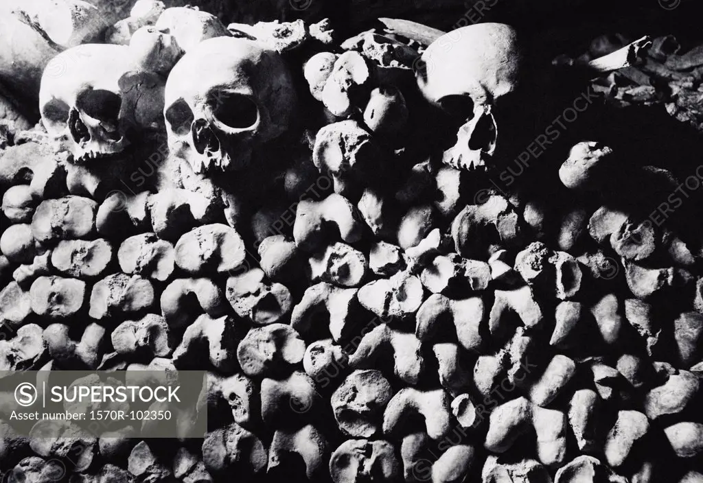 Three human skulls on a pile of bones, Les Catacombes, Paris, France