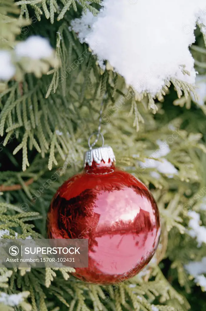 Red Christmas decoration hanging from Christmas tree