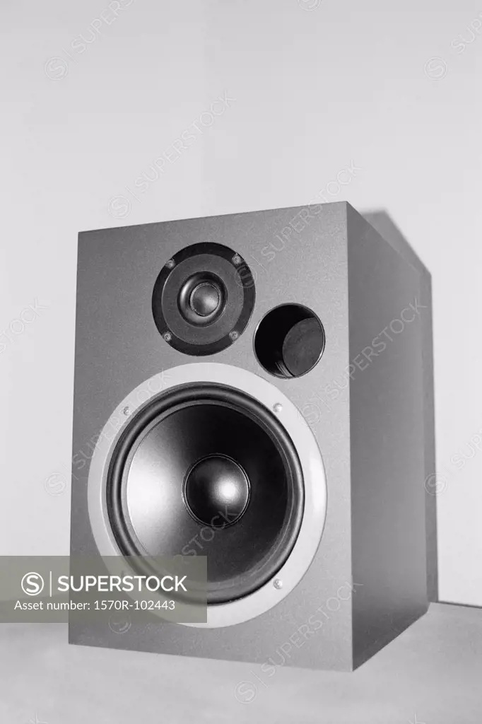 Silver speaker