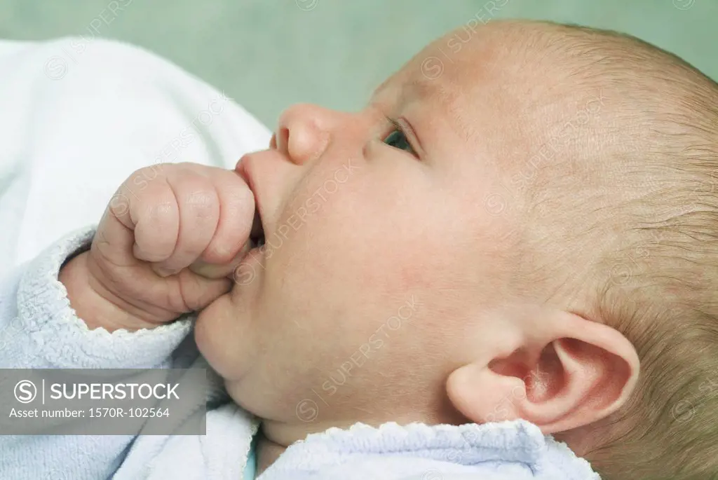 Profile of newborn baby