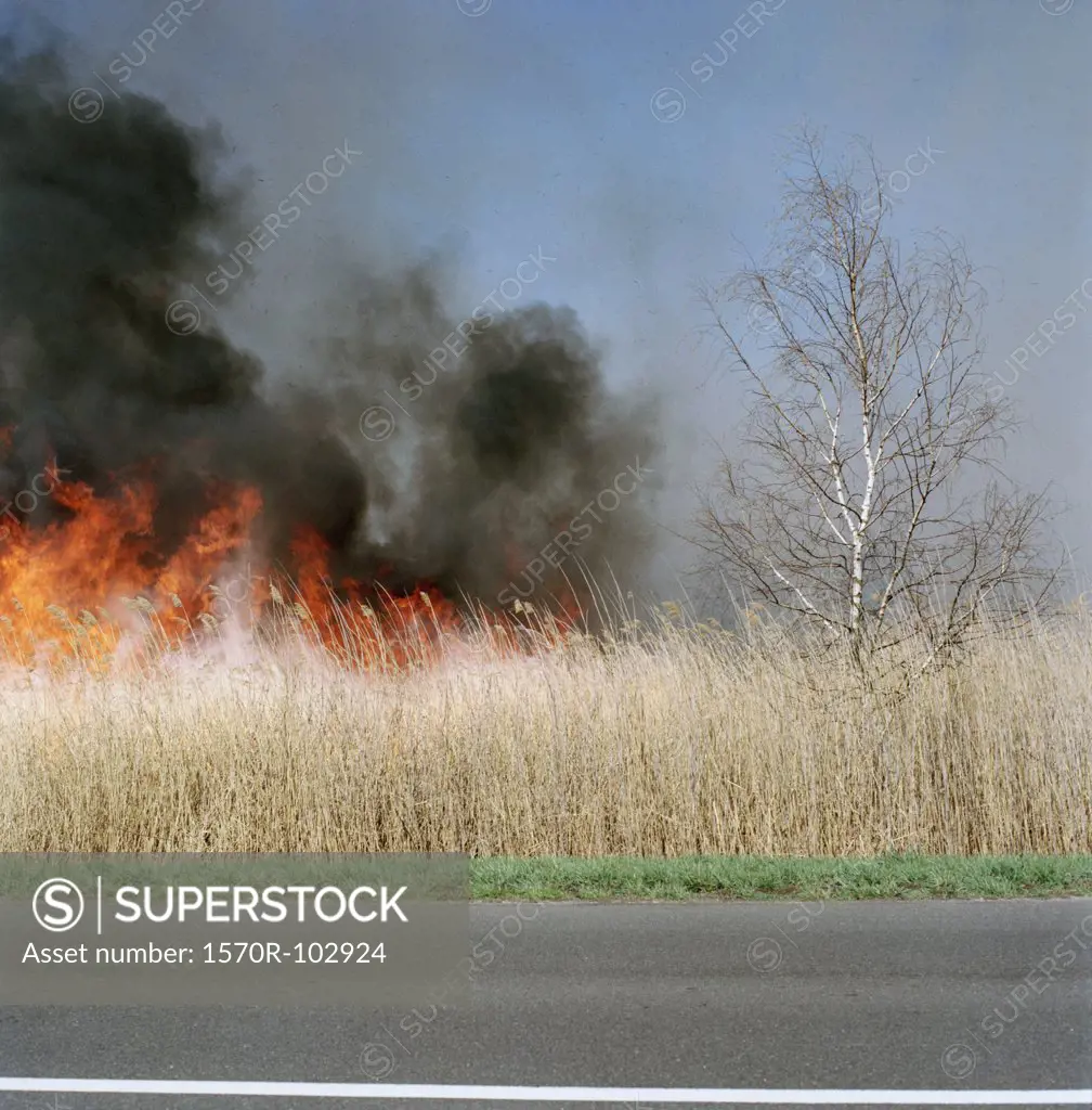 A fire burning in a field