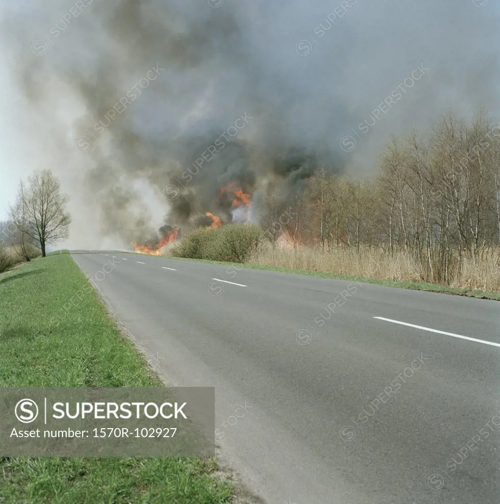 A fire burning in a field on a roadside