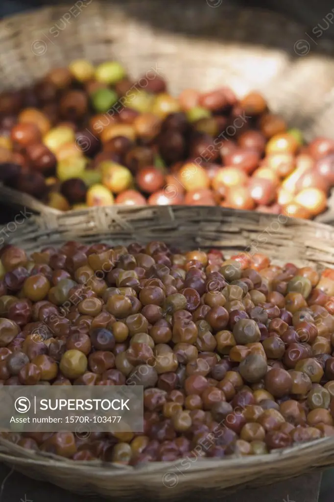 Basket full of jujube berries (Zizyphus mauritiana), Mumbai, India