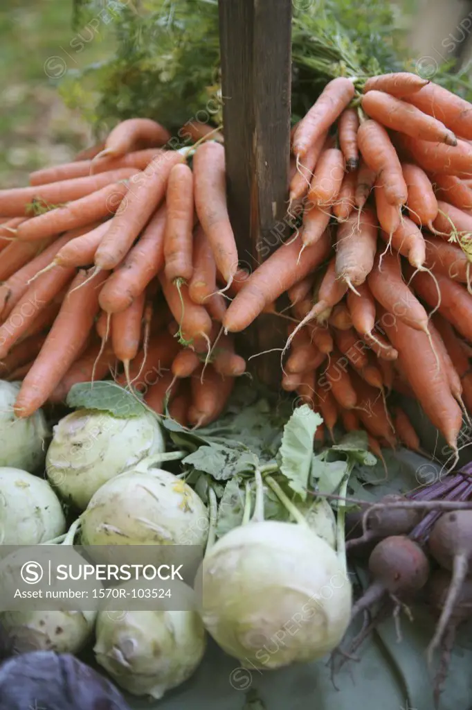 Carrots, kohlrabi and beetroot at farmers market