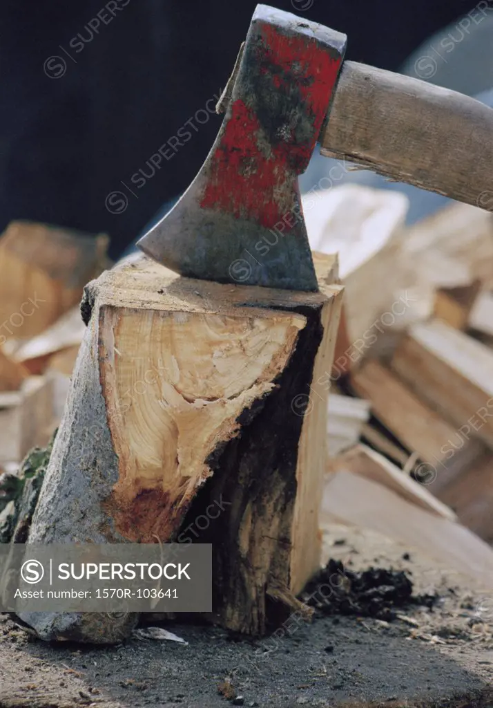 Axe wedged into tree stump
