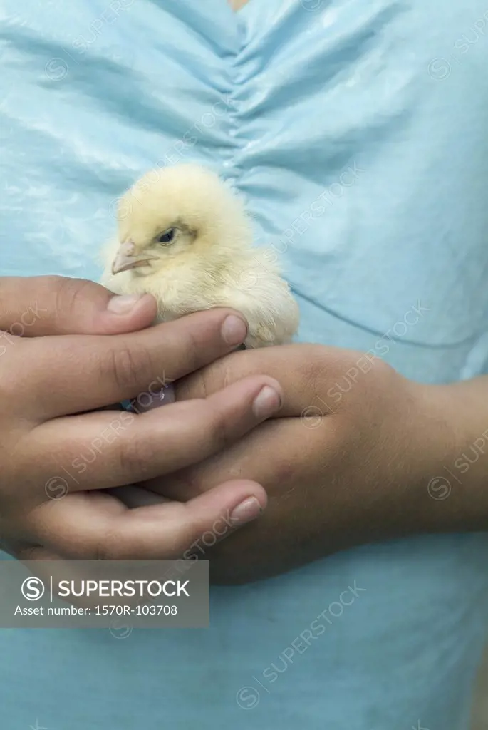 Young girl holding baby chicken