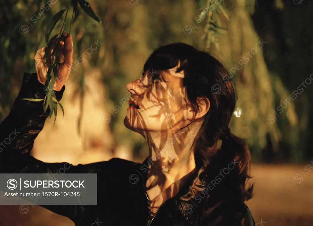 Woman touching tree branch with dusk shadows