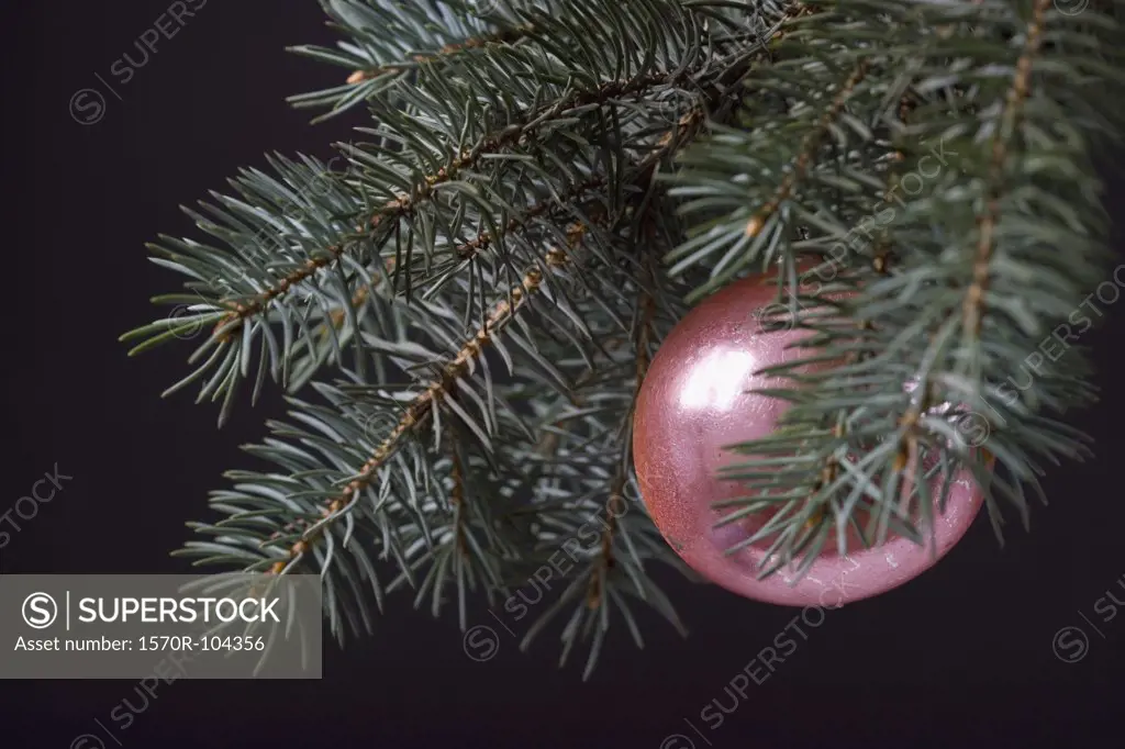 A Christmas ornament on a Christmas tree