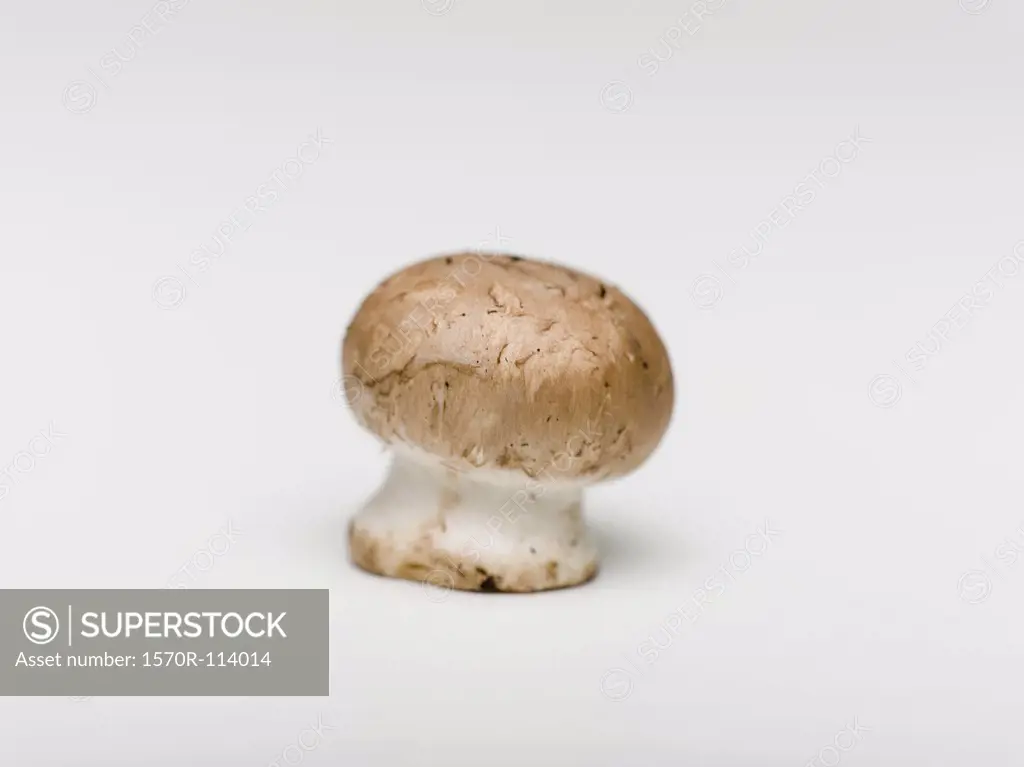Crimini Mushroom