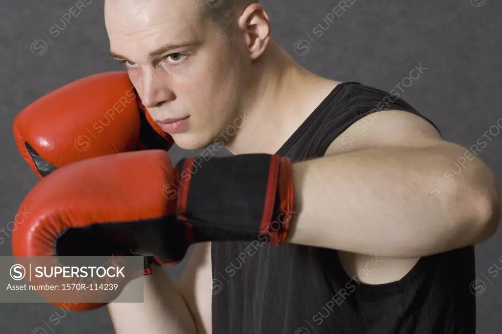 Young male boxer standing with fists raised