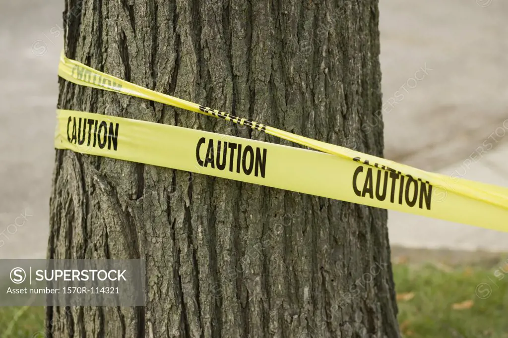 Caution’ tape wrapped around tree