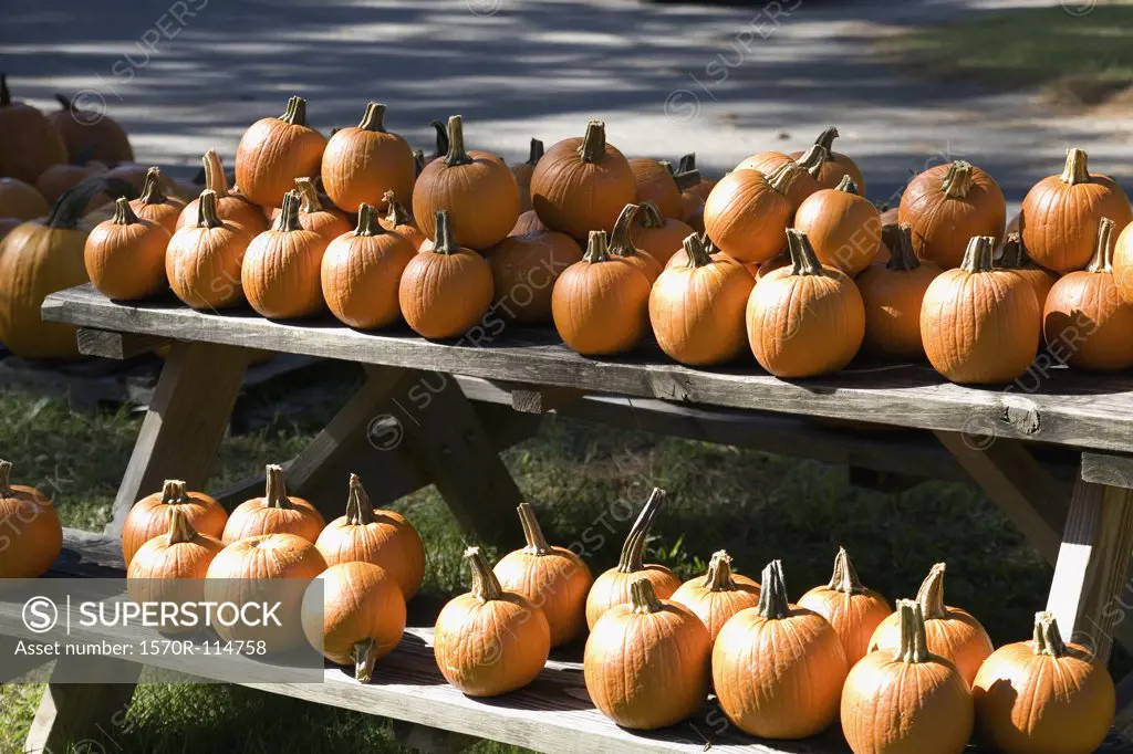 Pumpkins arranged on wooden picnic table