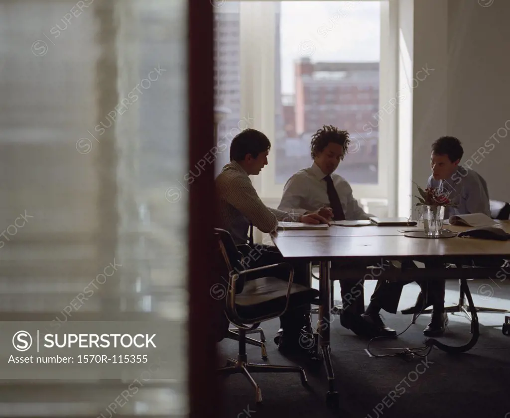 Three businessmen meeting in conference room