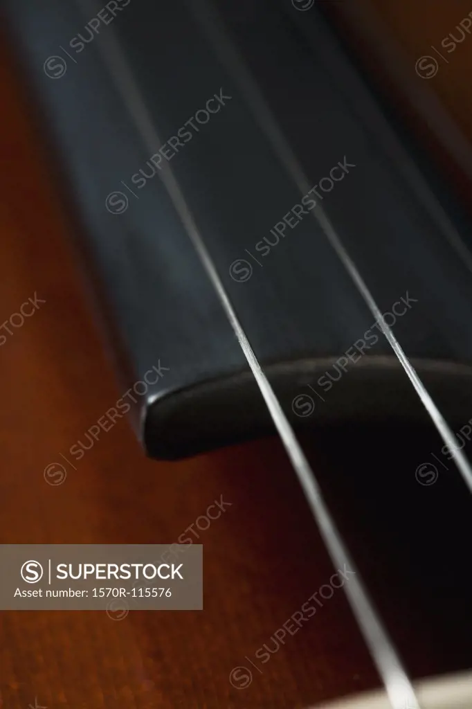 Detail of a cello